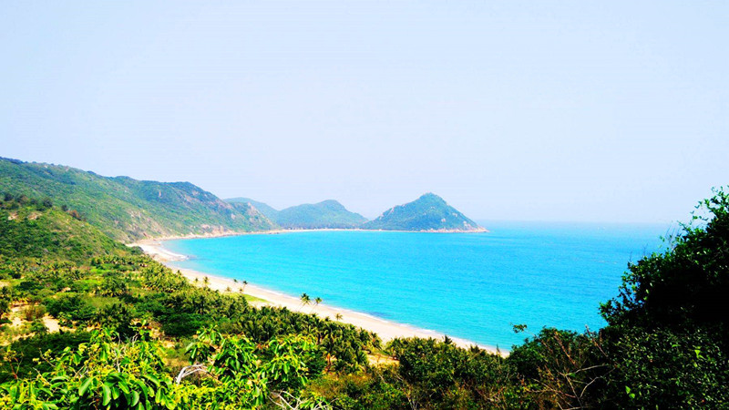 呆呆島